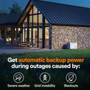Guardian Series 22 kW/19.5 kW Air Cooled Home Standby Generator with Wi-Fi and Whole Home 200 Amp Transfer Switch