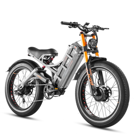 Electric Bicycles