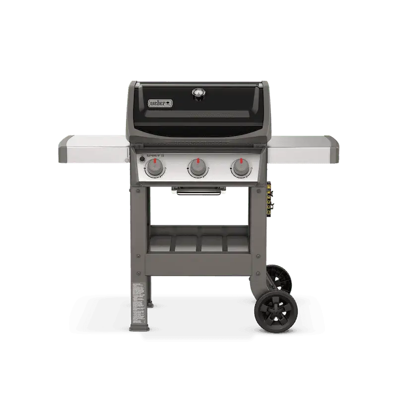 Weber Spirit II 2-Burner Propane Gas Grill in Black – Bitz & Buttons