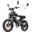 Ridstar Q20Pro 2000W Fat Tire Electric Bicycle