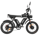 Ridstar Q20Pro 2000W Fat Tire Electric Bicycle