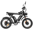 Ridstar Q20Pro 2000W Fat Tire Electric Bicycle