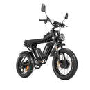 Ridstar Q20Pro 2000W Fat Tire Electric Bicycle
