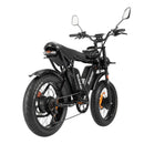 Ridstar Q20Pro 2000W Fat Tire Electric Bicycle