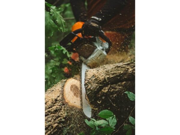 STIHL MS 462 C-M 28 72.2cc 28″ 13 Lbs Fuel-Efficient Gas-Powered M-Tronic C-M Chainsaw w/Bar & Chain – Mk Barz